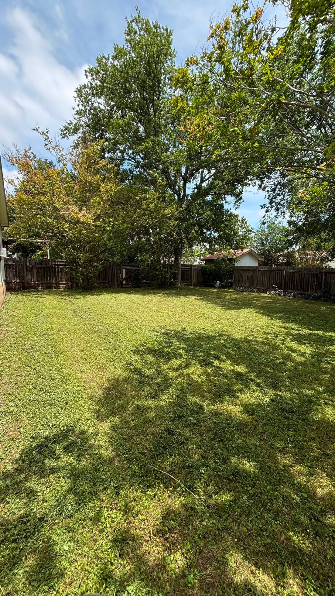 Lush green backyard maintained by JV Lawn Care